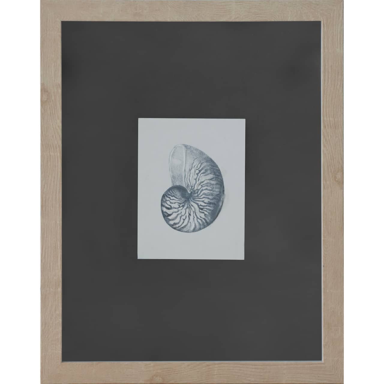 11" x 14" Blue Striped Shell Art Wall Décor by Ashland®